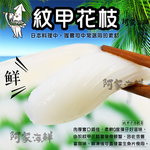 生食級★大紋甲花枝 800g±10%/#解凍即食#花枝#握壽司#刺身#生魚片#滑嫩口感#Q彈可口