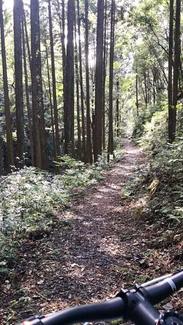 東海 マウンテンバイク