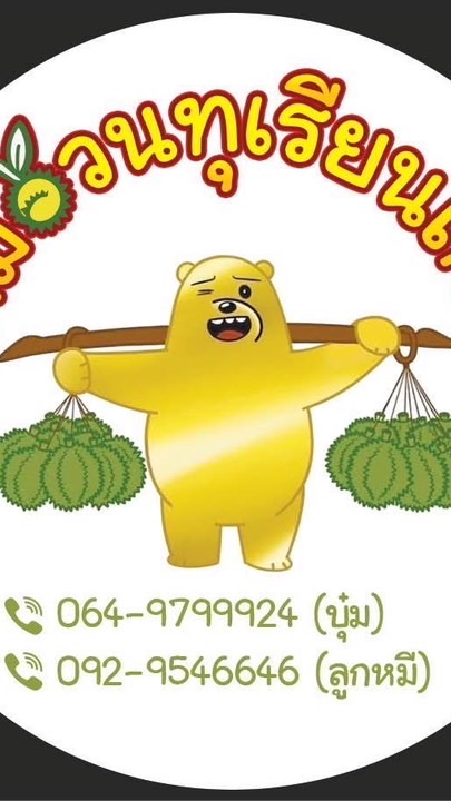 หมีอ้วนทุเรียนไทย