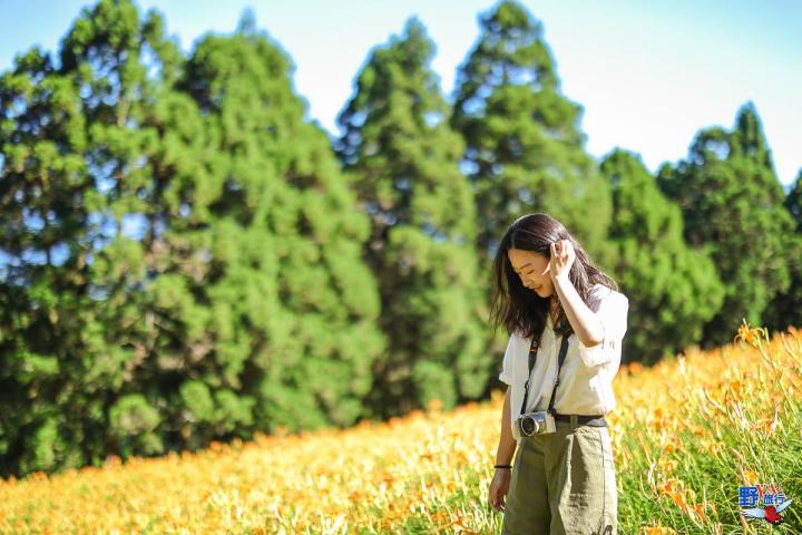 2023赤柯山金針花海必拍推薦8大景點 @Ya!Travel 野旅行新聞網