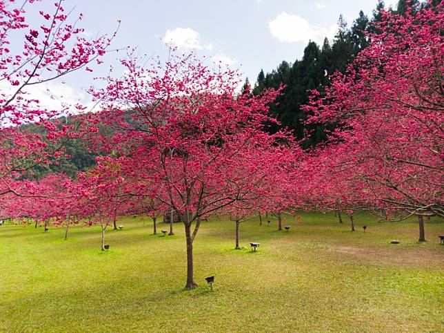 圖片來源：欣傳媒資料庫