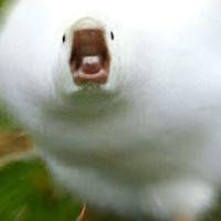 便便轉運中心