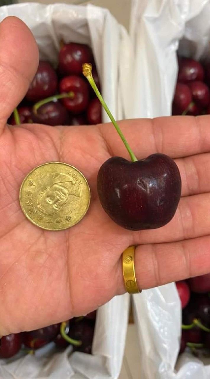 水果精品    買賣