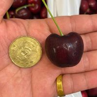 水果精品    買賣