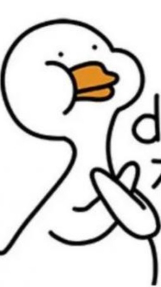 Duck不必