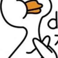 Duck不必