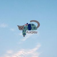 （暫停服務）飛飛邱✈️～日本東京連線