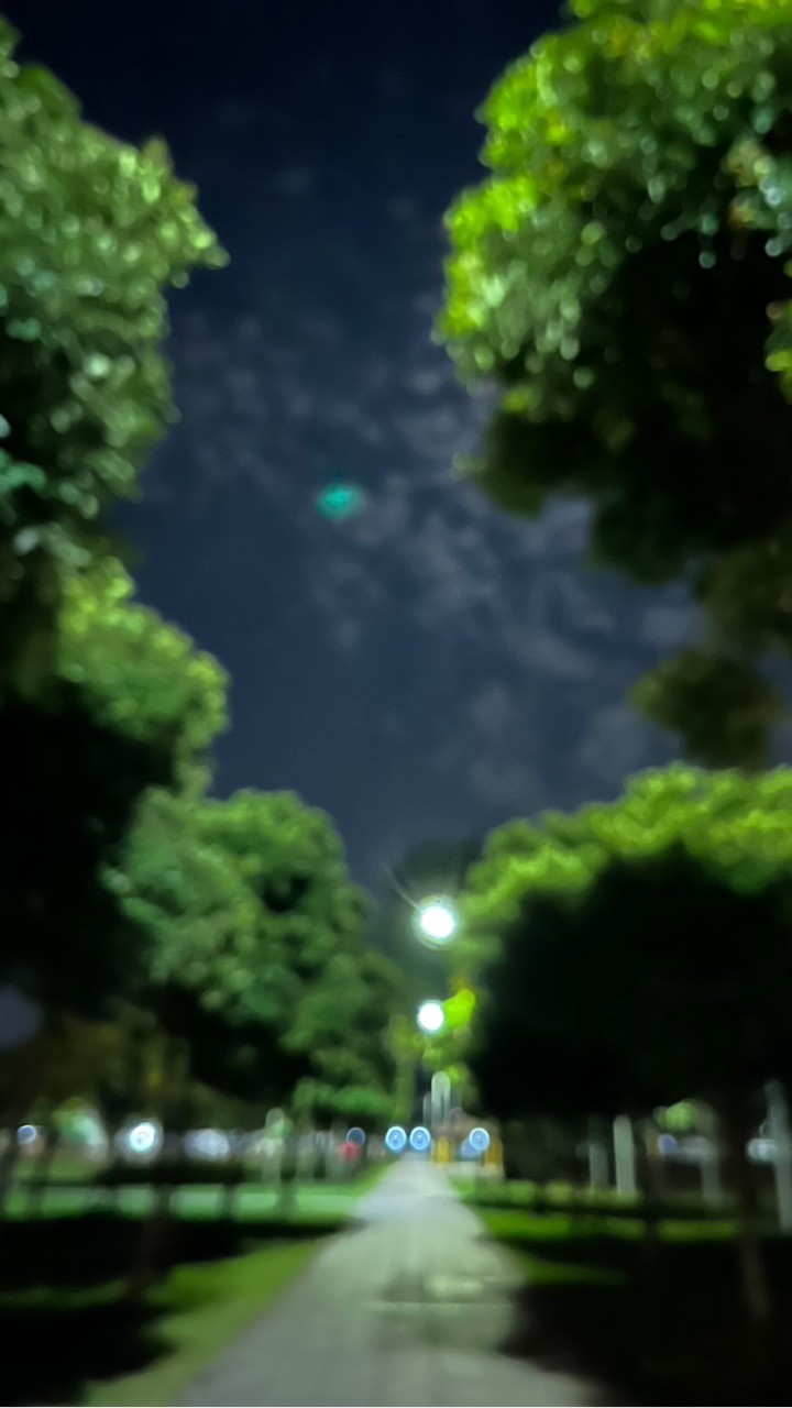 放山機個人工作室