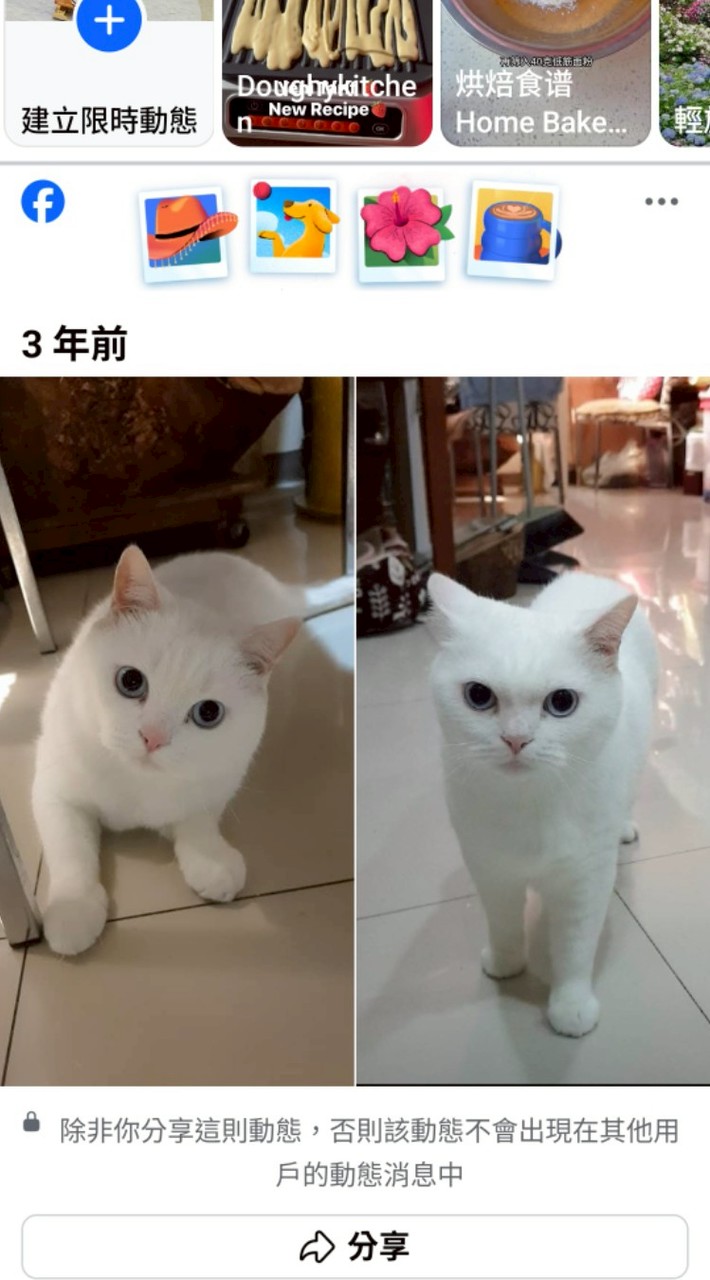 消費團