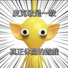 皮克敏飛人交流群💐Pikmin Bloom