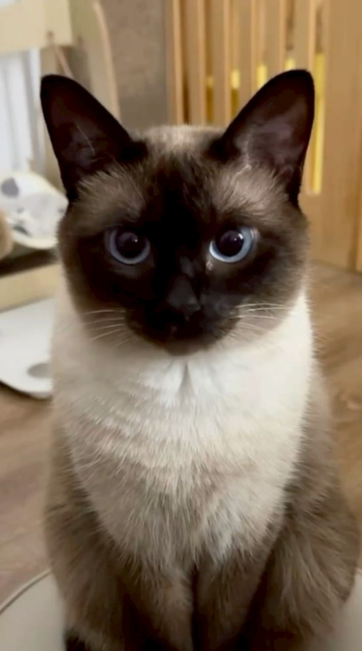 เทส