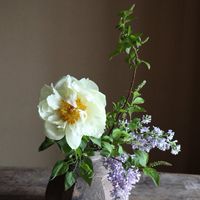 【女性限定】東北🍓方言でおしゃべりするお部屋🍓福島・宮城
