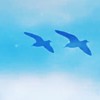 我の天空 40+～