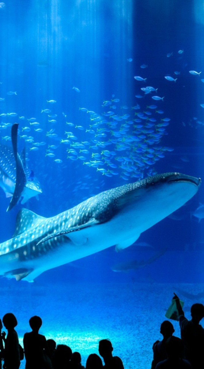 水族館好きの集い