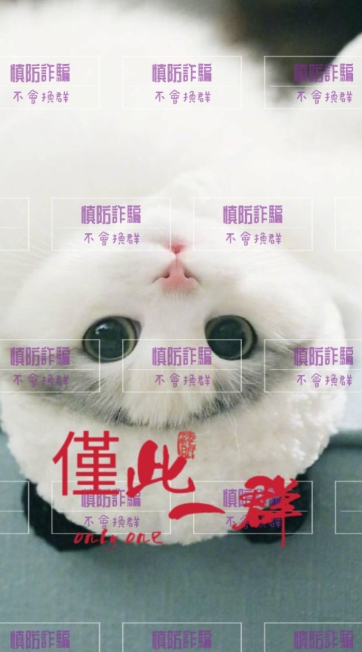 貓兒房寵物消耗品團購