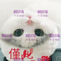 貓兒房寵物消耗品團購
