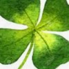 性暴力被害の相談所🍀