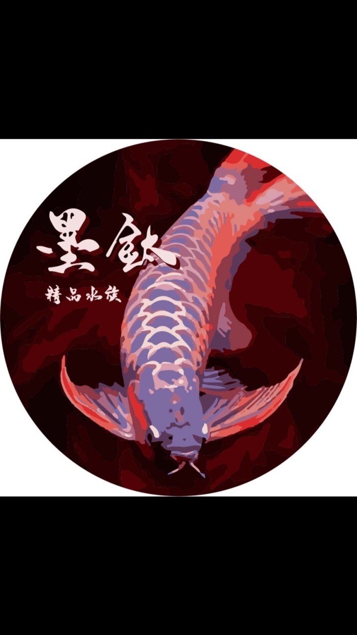 墨鈦精品水族
