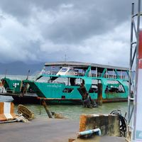 เรือเฟอร์รี่🚢ไปเกาะช้าง(TRAT ferry)☎👉0621917692
