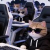 TradingCat技術中心(分區)👩🏼‍🏫👨🏻‍🏫