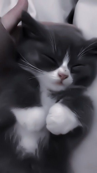 失恋した人可愛いく&かっこよくなろ❕辛い時は語り合お🥲