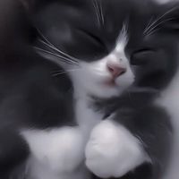 失恋した人可愛いく&かっこよくなろ❕辛い時は語り合お🥲