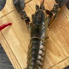 同盟食品.海鮮.最低價格