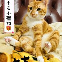 🌟家有寶貝貓貓狗狗也瘋狂2館