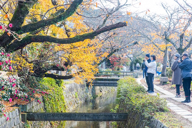 孤獨的美食家地圖 實訪之四十九 京都 銀閣寺美食 梨門邸nashimote 炭燒料理居酒屋 Tabelog 3 56 Line旅遊