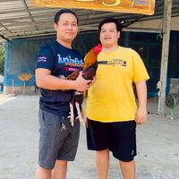 ป.เจริญทอง เชียงใหม่