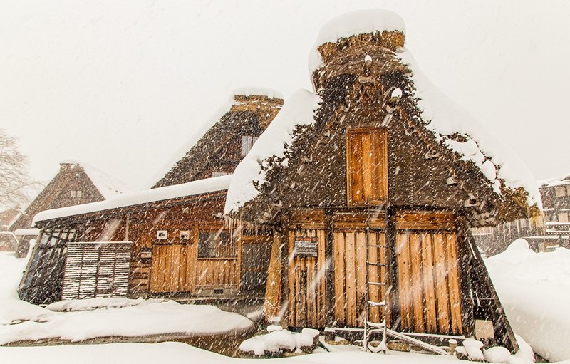 20160120-20160120-IMG_9574