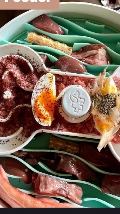 福氣Fuchi全球寵物選品/狗狗貓貓