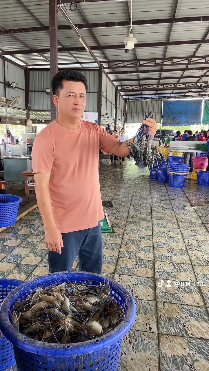 👨‍🌾กลุ่มซื้อขายกุ้ง🦐แพเชน 🦞🦐ดูราคาและรีวิวสินค้า✅☎️