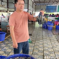 👨‍🌾กลุ่มซื้อขายกุ้ง🦐แพเชน 🦞🦐ดูราคาและรีวิวสินค้า✅☎️