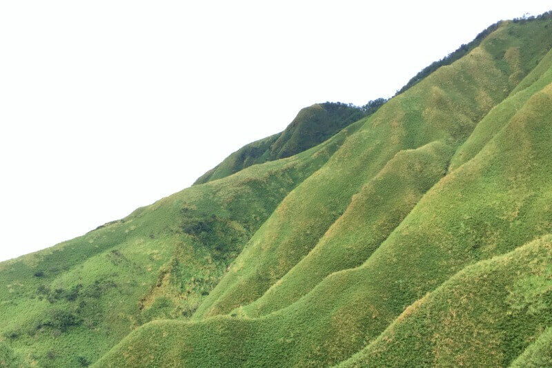 宜蘭礁溪抹茶山