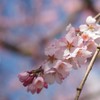 島根大学写真部 〜2025年度入学生歓迎〜