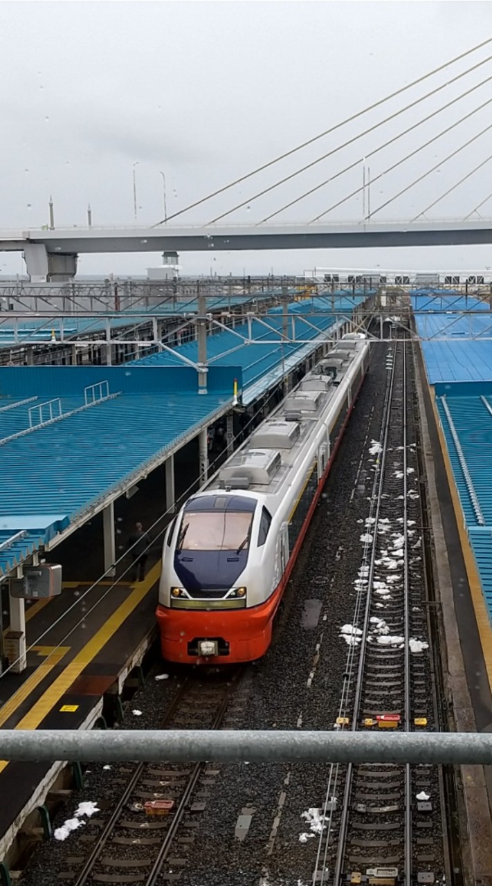 電車好き集まれ、！！　臨時列車情報局