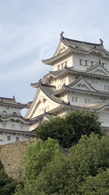 難関大学を目指す新高1生