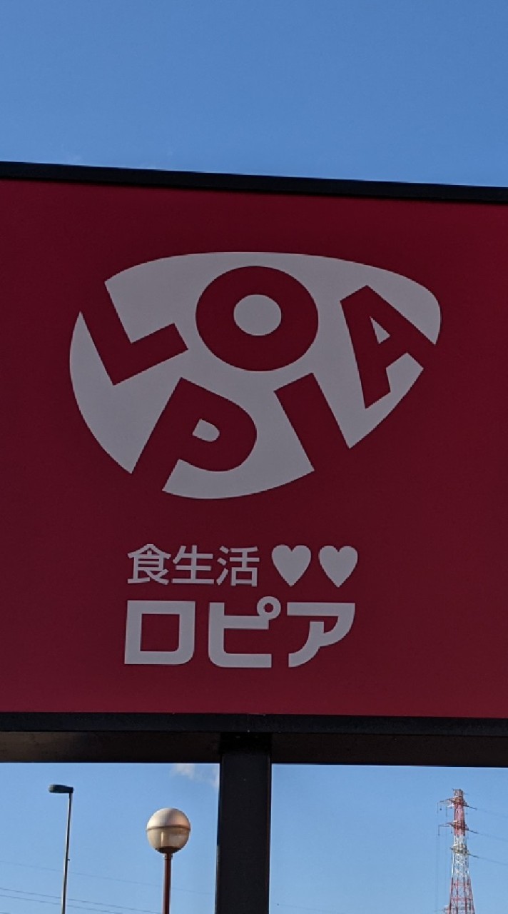 ロピア港北インター店チラシ