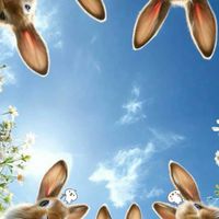 🔹✧*絆*✧︎🔹4周年記念.*·̩͙心の拠り所🌟愛と絆ROOM🐥‪𓂃 𓈒𓏸🫧