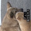 HQ緩也🏐ハントかよ‼️