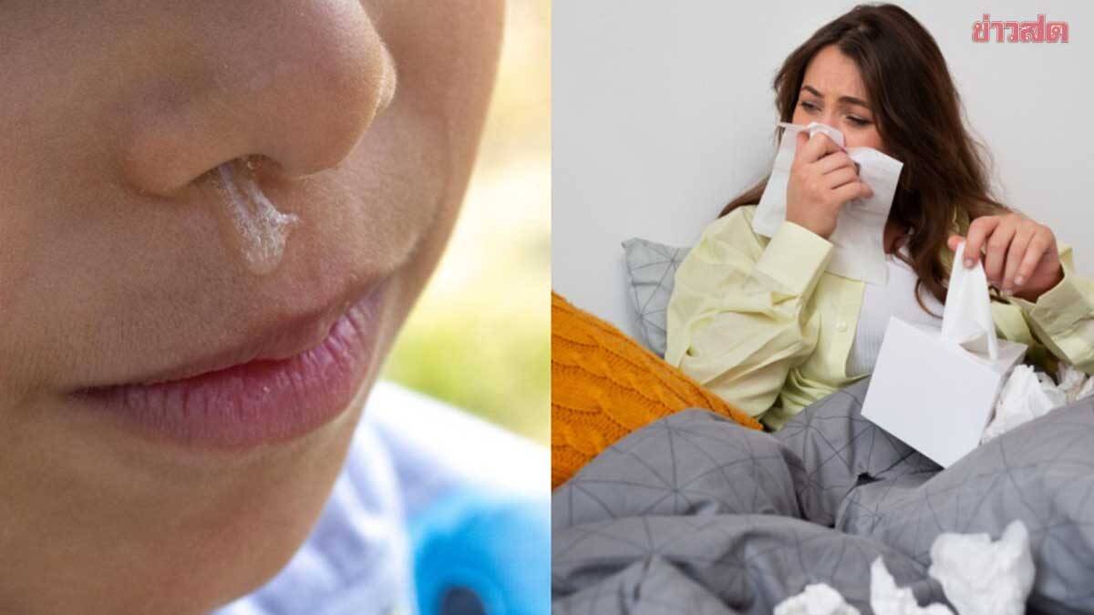 What The Color Of Your Mucus Says About Your Health Doctors Reveal The Meaning Behind 6 