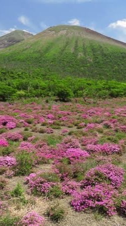 【霧島】まいまいツアー5月26・27日