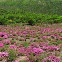 【霧島】まいまいツアー5月26・27日
