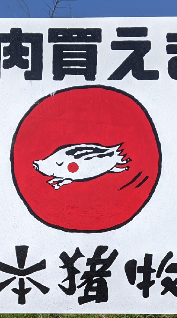 日本猪牧場🌟狩猟者おぷちゃ！