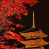 芸能人恋愛 ～俺に言わせろよ～