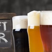 【札幌】craft beer クラフトビール好きの部屋