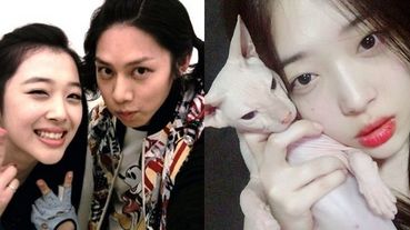 Super Junior金希澈暖哭網友！直播畫面驚見無毛貓 網友瘋猜：「是雪莉生前愛貓」