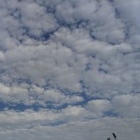 ただの東方業界の集まり
