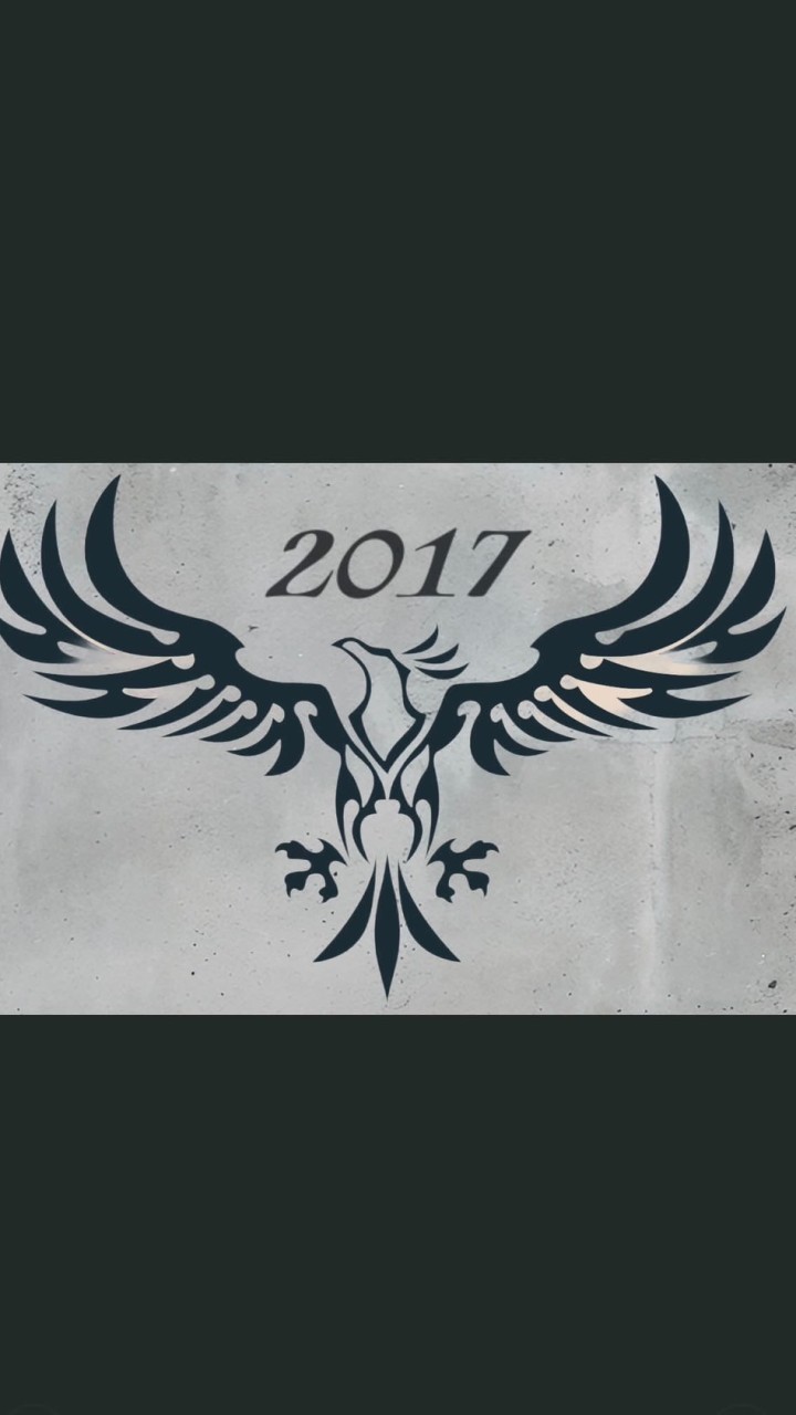 2017ファルコンズ
